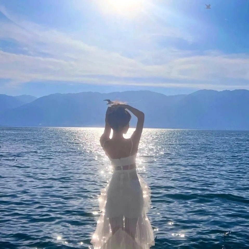 夏之庭