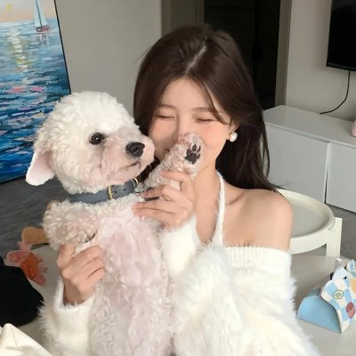 完美世界